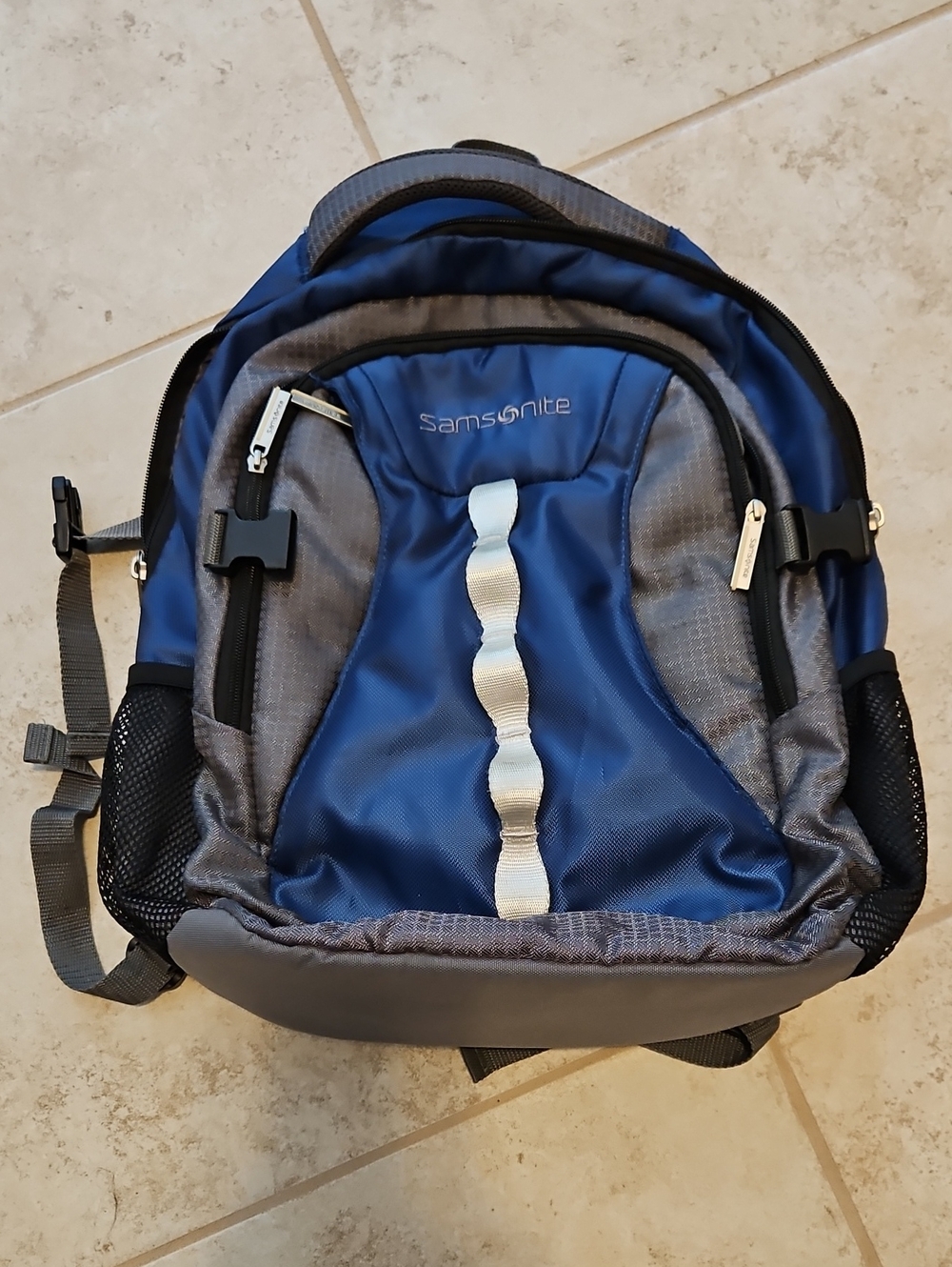 Samsonite Backpack / Computer Bag
